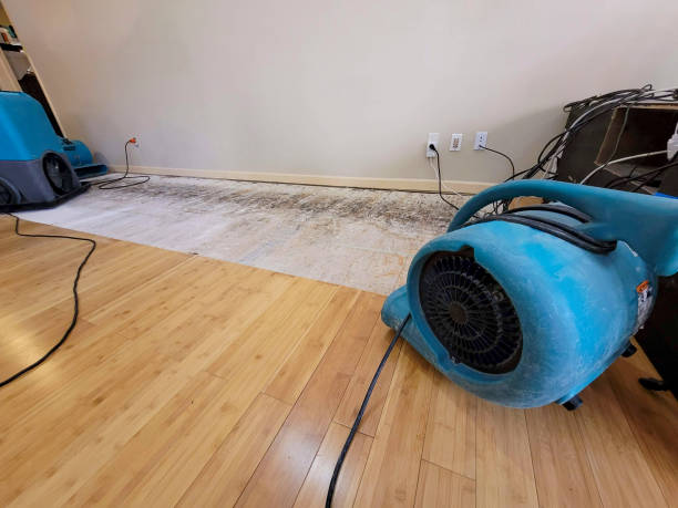 Professional Emergency Water Damage technician working in Bath, IN